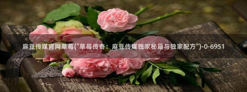麻豆视频首页文案