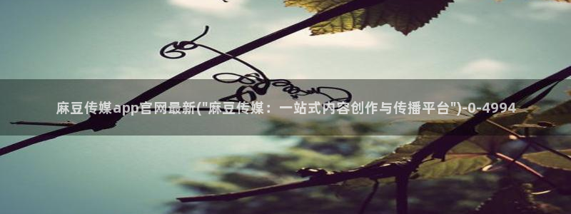 麻豆精品视频