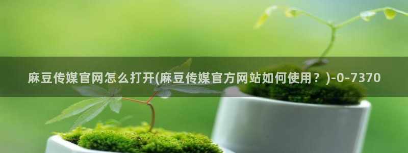 麻豆视频排行文案
