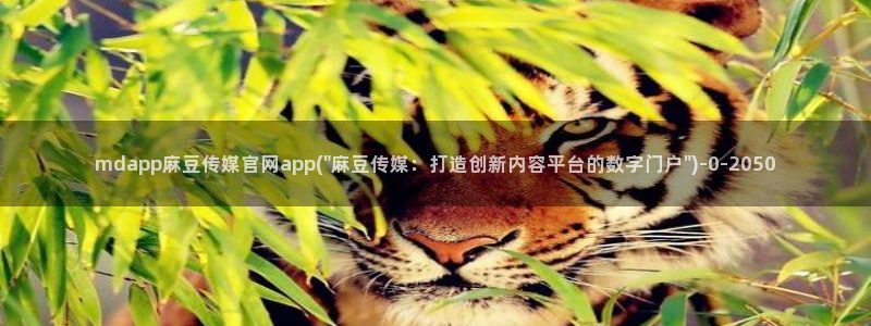 麻豆视频原创文案