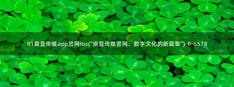 麻豆资源站模板