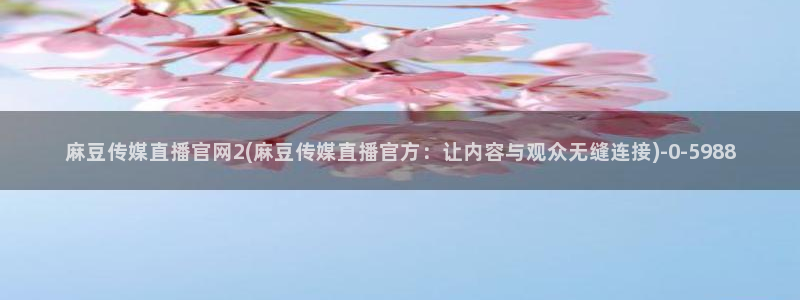 麻豆视频描述规则