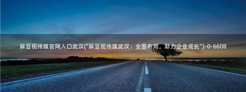 麻豆视频可读内容