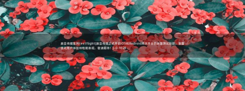 麻豆视频分类名称