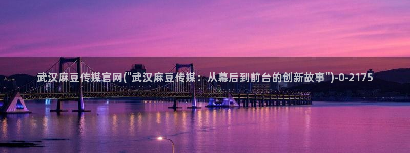麻豆视频封面