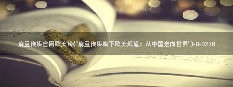 麻豆视频描述规则