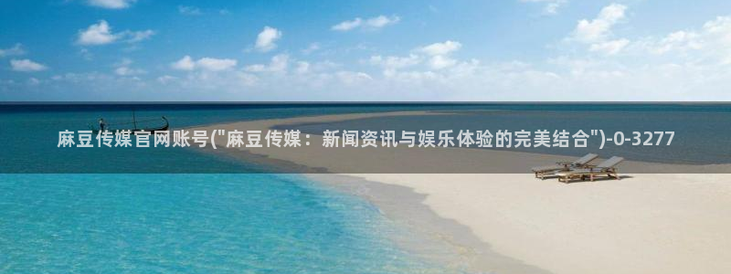 麻豆视频在线观看
