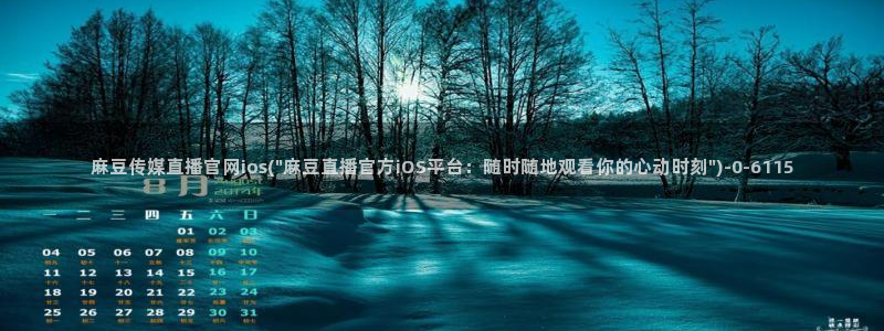麻豆视频详情文案
