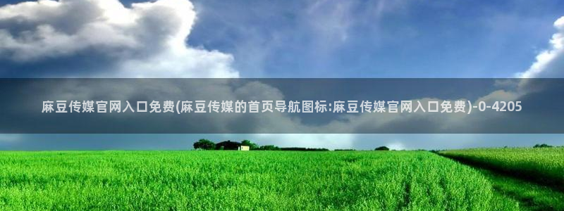 麻豆观看描述