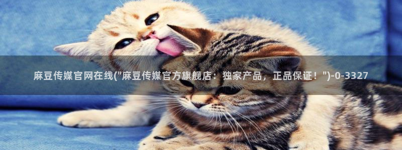 麻豆高清视频