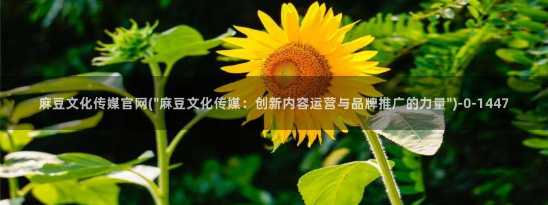 麻豆精选视频