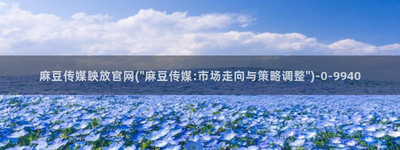 麻豆视频点评