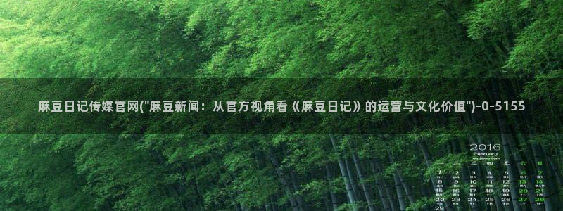 麻豆视频指南文案