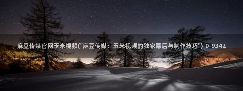 麻豆资讯描述
