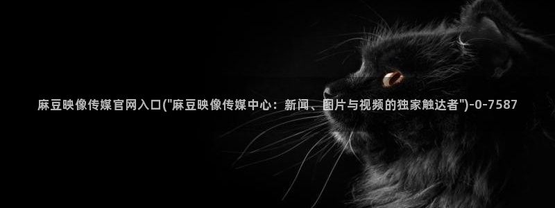 麻豆视频模板