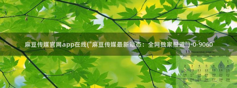 麻豆视频优质内容