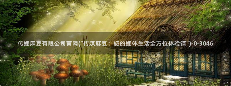 麻豆视频分类