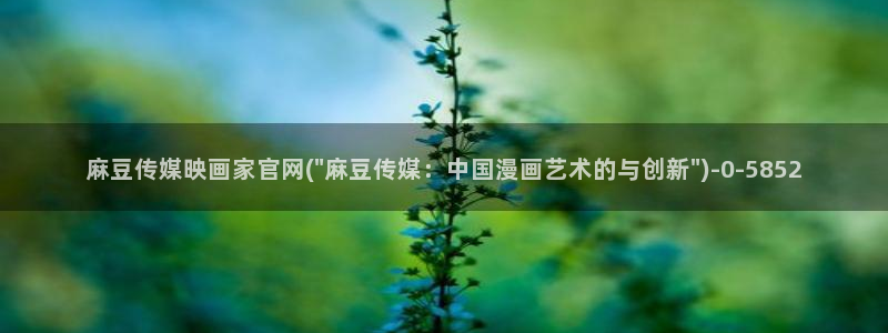 麻豆视频解说文案