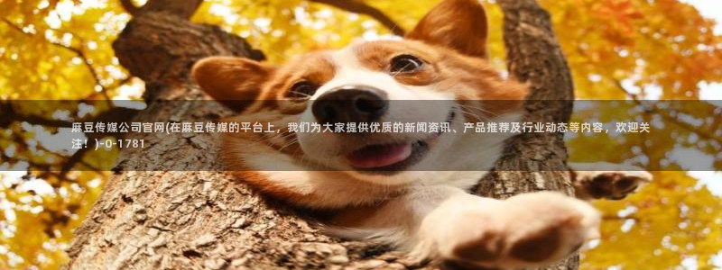 麻豆反转剧情