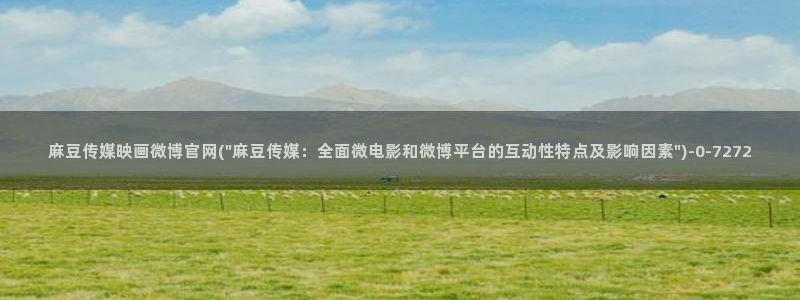麻豆视频网站