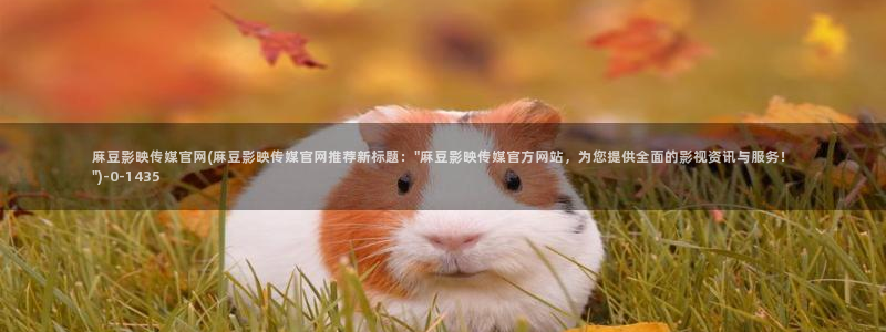麻豆视频推荐