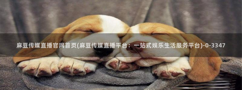 麻豆视频标签