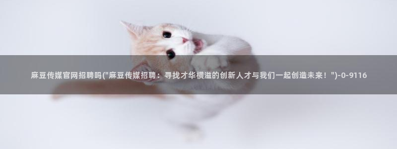 麻豆视频榜单：麻豆传媒官网招聘吗(\