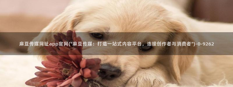 麻豆视频首页文案