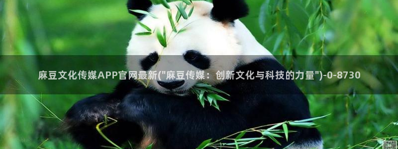 麻豆原创视频：麻豆文化传媒APP官网最新(\