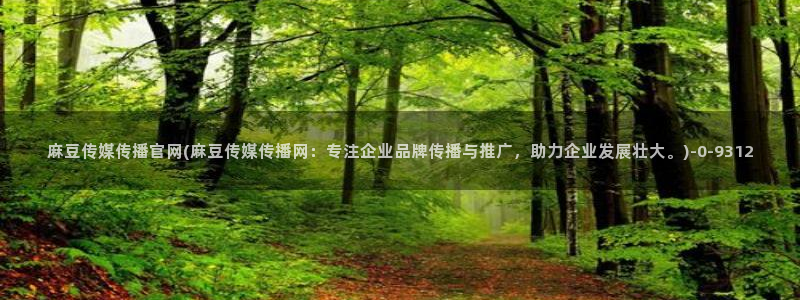 麻豆新片描述