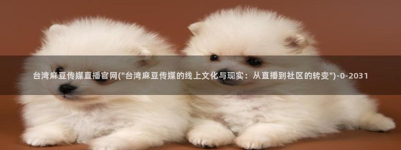 麻豆视频精准词