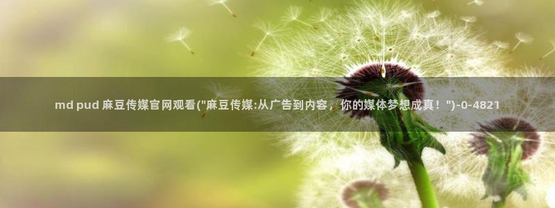 麻豆免费视频观看