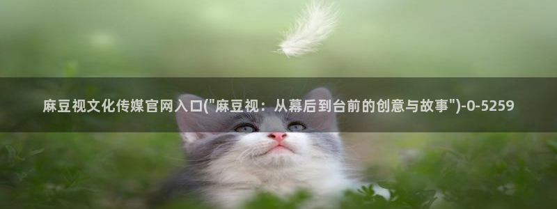 麻豆视频封面