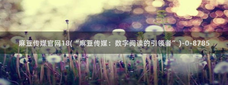 麻豆视频榜单