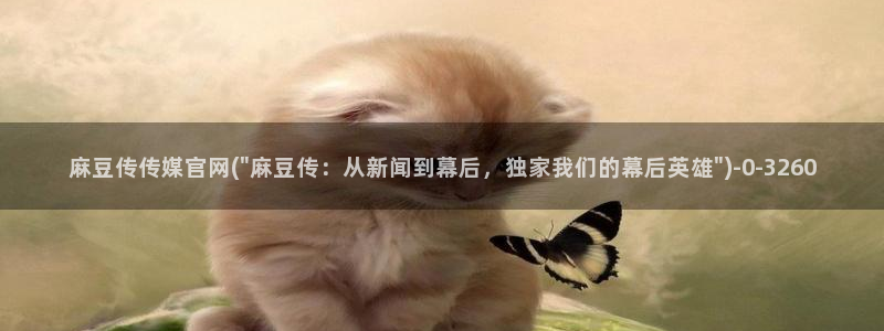 麻豆短片