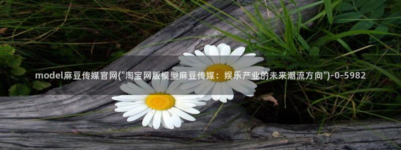 麻豆视频排行文案