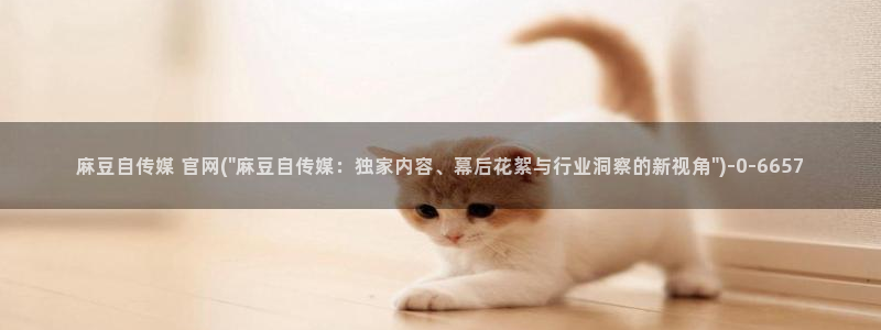 麻豆自定义库