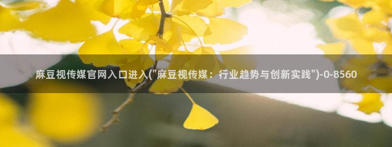 麻豆SEO关键词